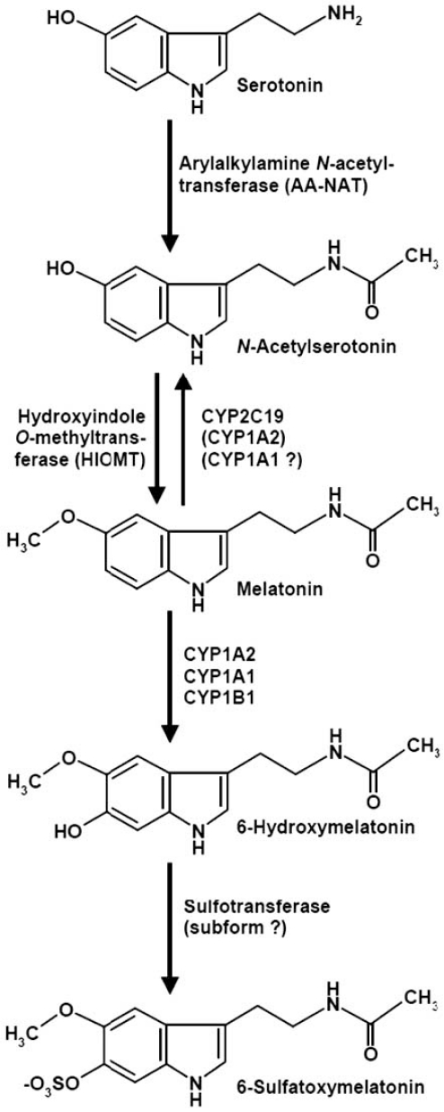 Fig. (1)