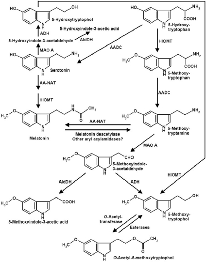 Fig. (2)