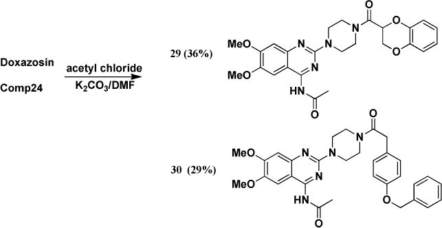 Scheme 4