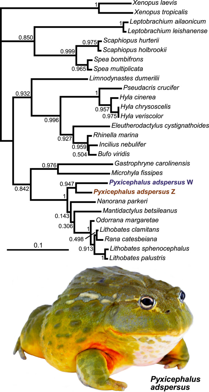 FIGURE 2