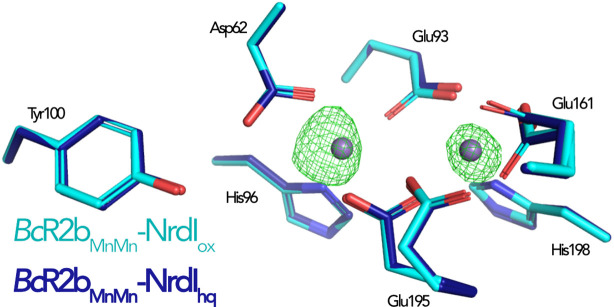 Figure 6—figure supplement 1.