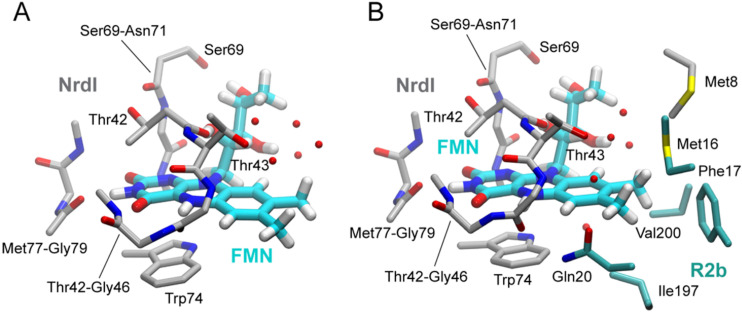 Figure 4—figure supplement 2.