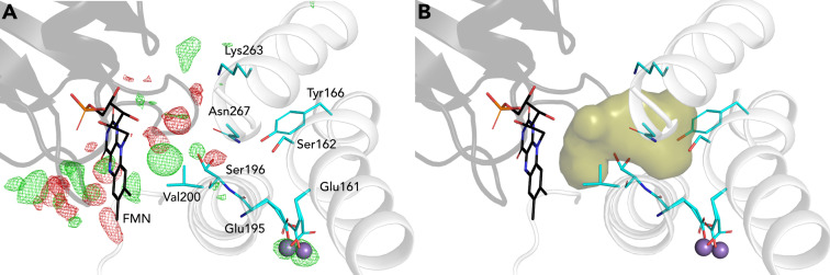 Figure 5—figure supplement 3.