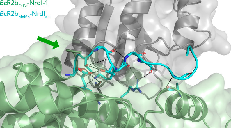 Figure 2—figure supplement 2.