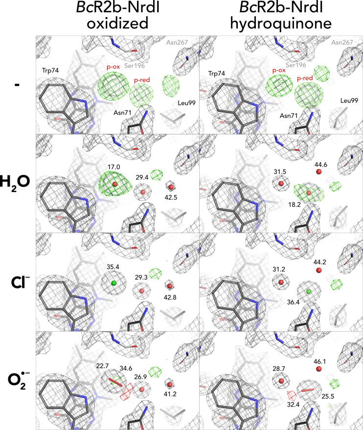 Figure 5—figure supplement 2.