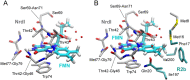 Figure 4—figure supplement 2.