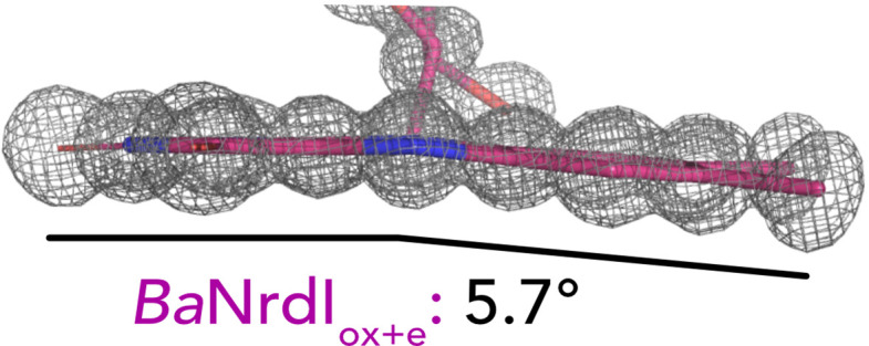 Figure 4—figure supplement 1.