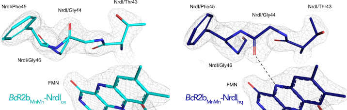 Figure 5—figure supplement 1.