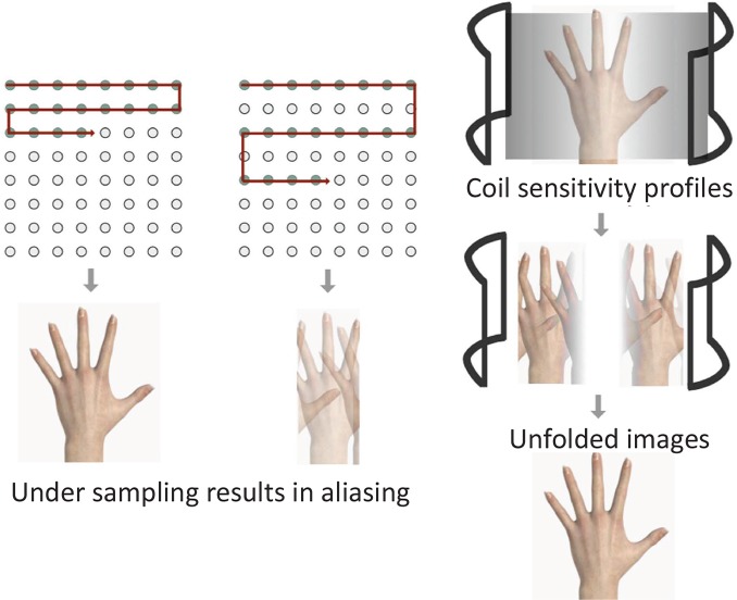 Fig 3.