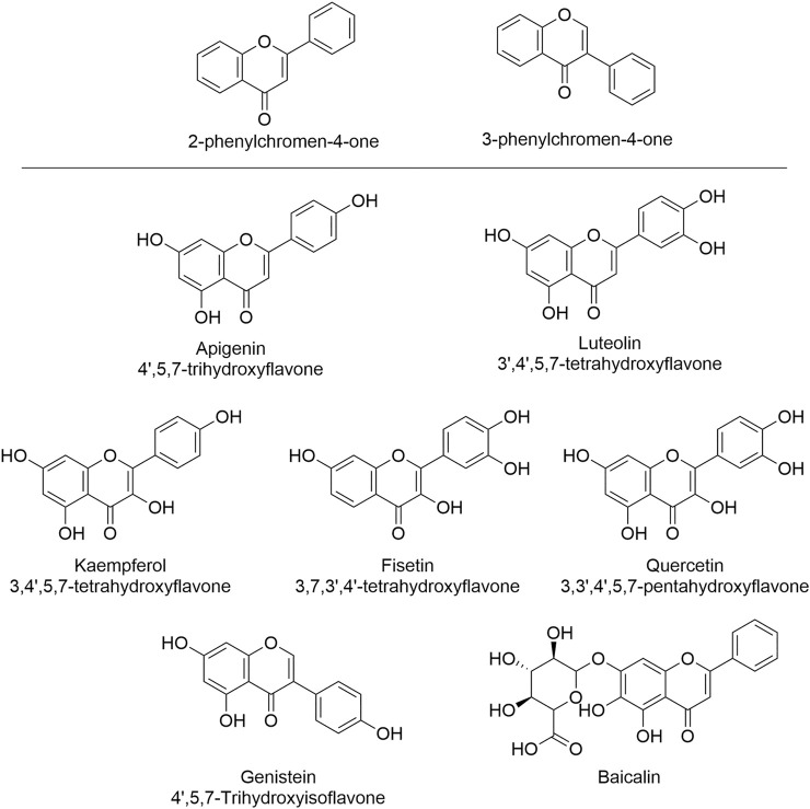 FIGURE 2