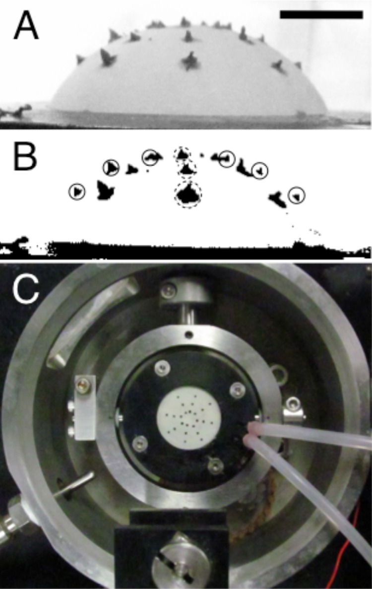 Fig. 6