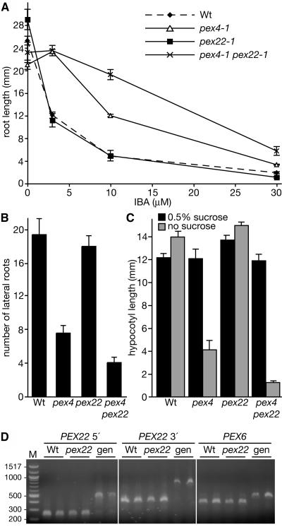 Figure 6.