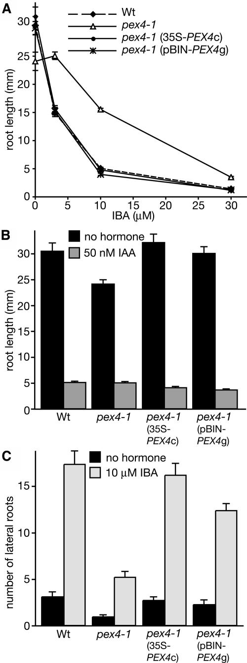 Figure 2.