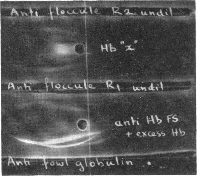 FIG. 13