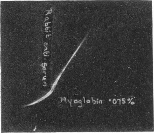 FIG. 8