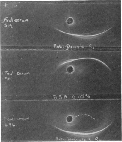 FIG. 12