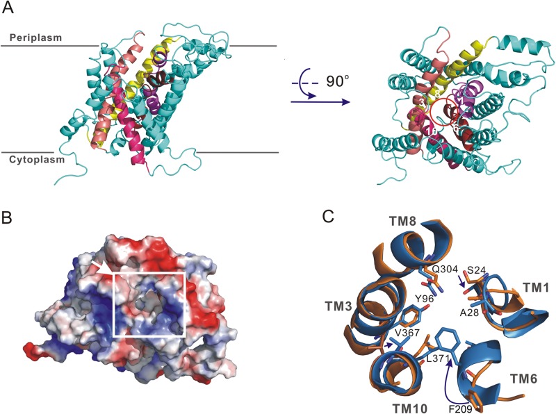 Fig 3