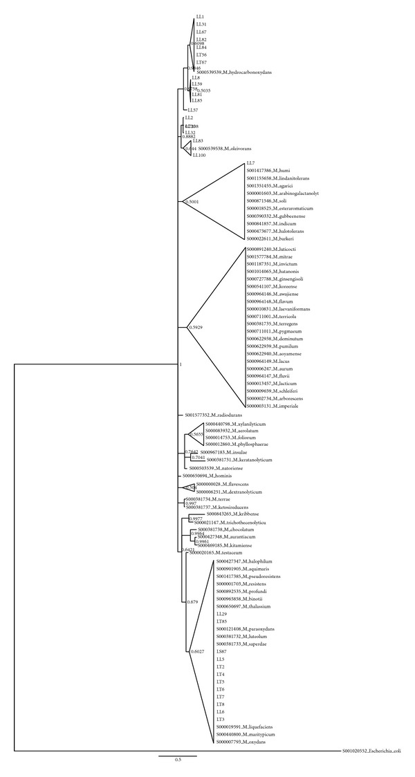 Figure 7