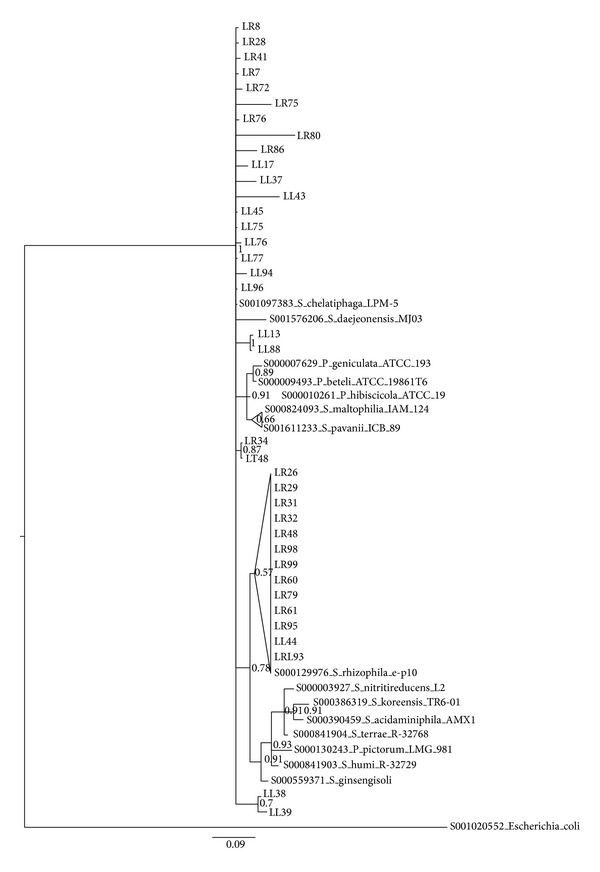 Figure 4