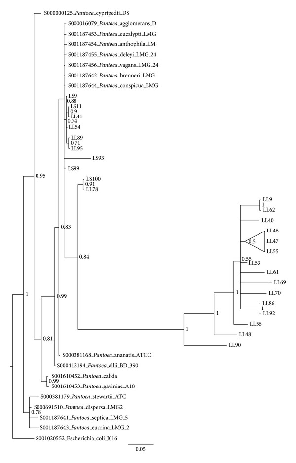 Figure 6