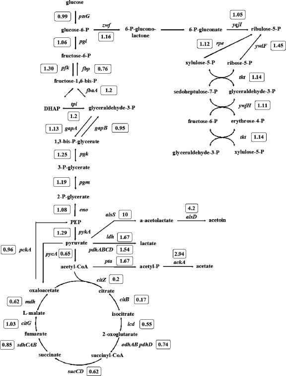 FIG. 2.