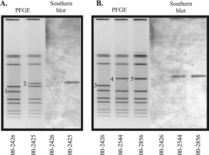 FIG. 1.