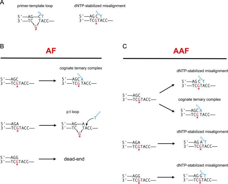 Figure 6.