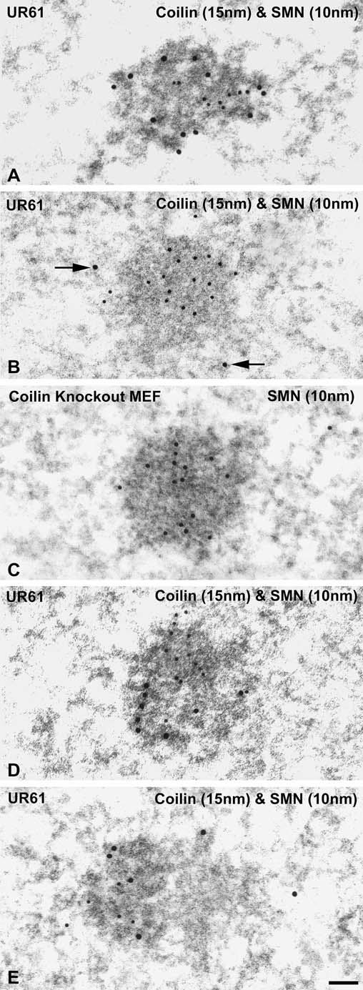 Fig. 4a-e