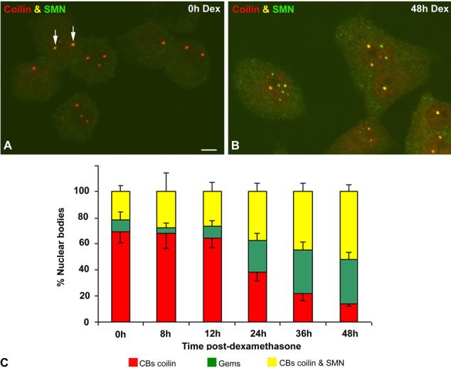 Fig. 2a-c