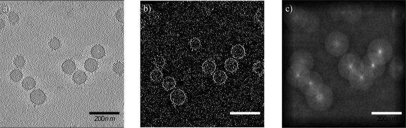 Fig. 8