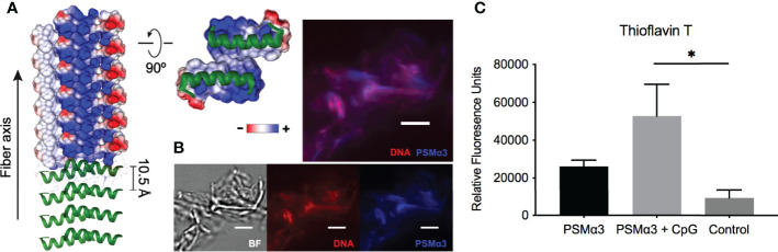 Figure 2