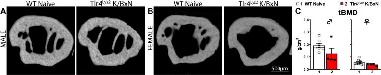 Fig. 7