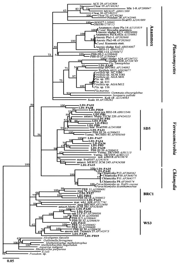 FIG.7.