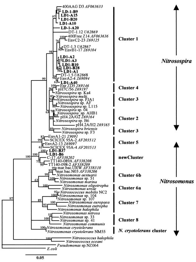 FIG. 6.