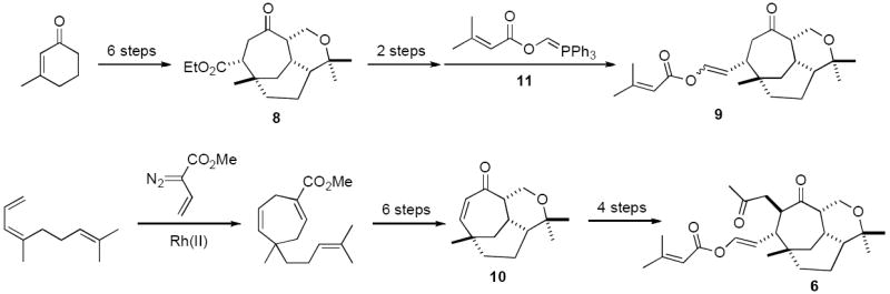 Scheme 1