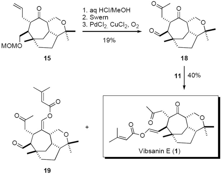 Scheme 4