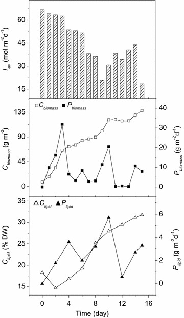 Fig. 4