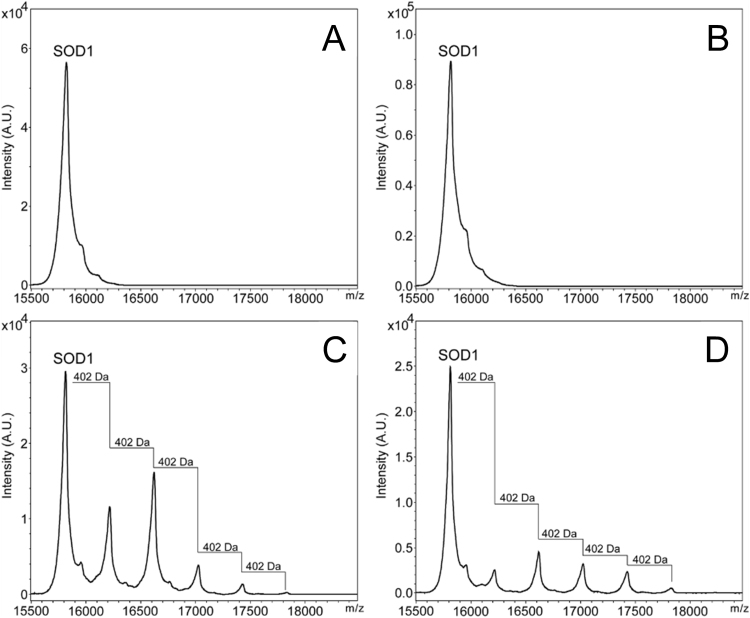 Fig. 6