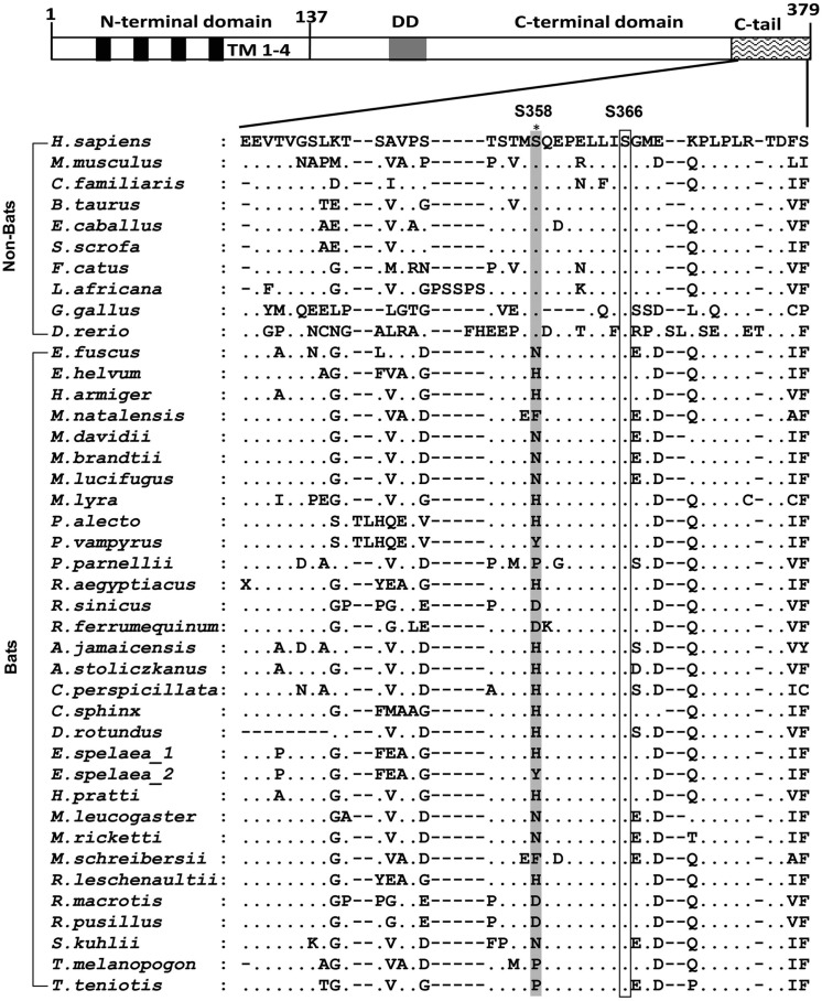 Figure 1