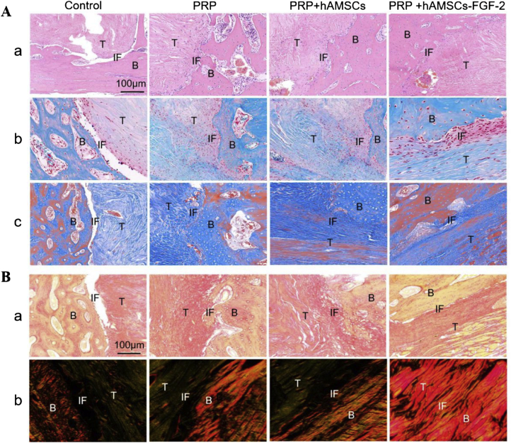 Figure 10