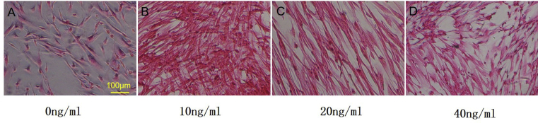 Figure 7