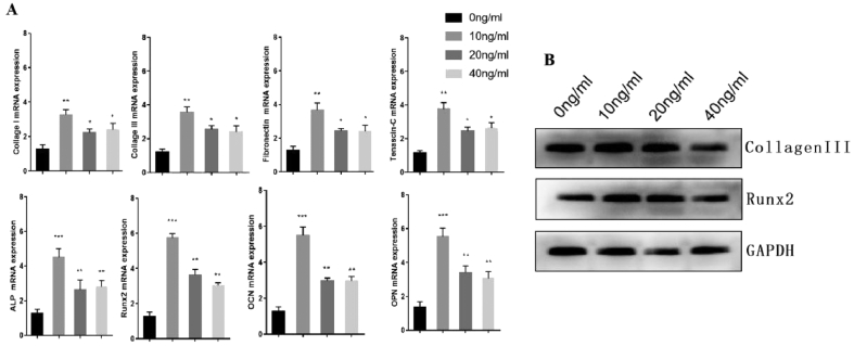 Figure 5