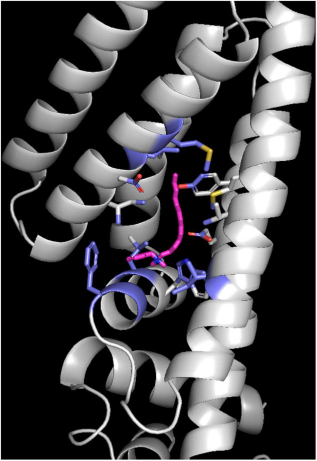 FIGURE 3