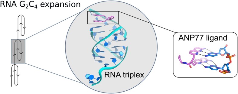 Graphical Abstract