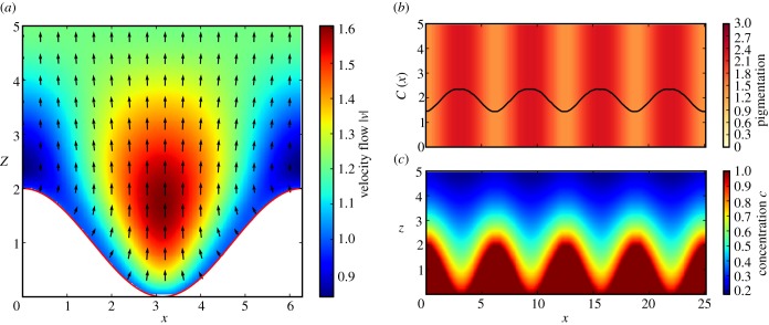 Figure 7.