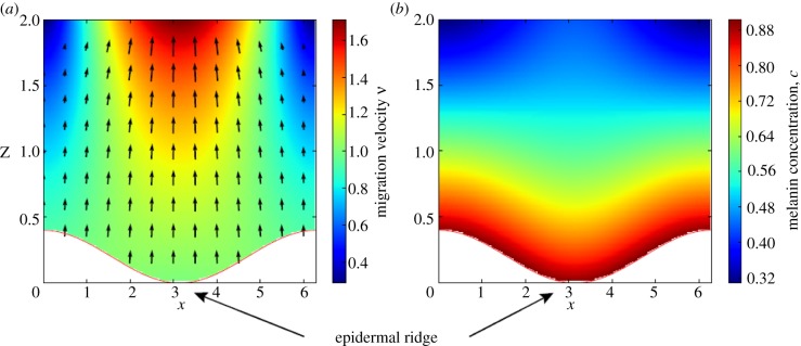 Figure 6.