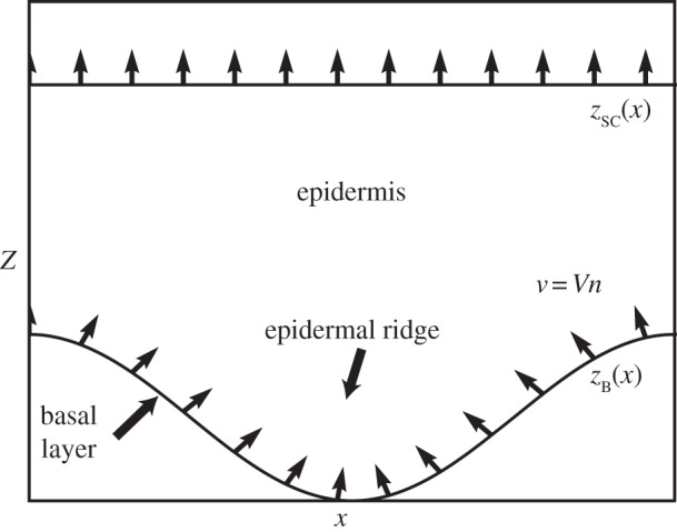 Figure 5.