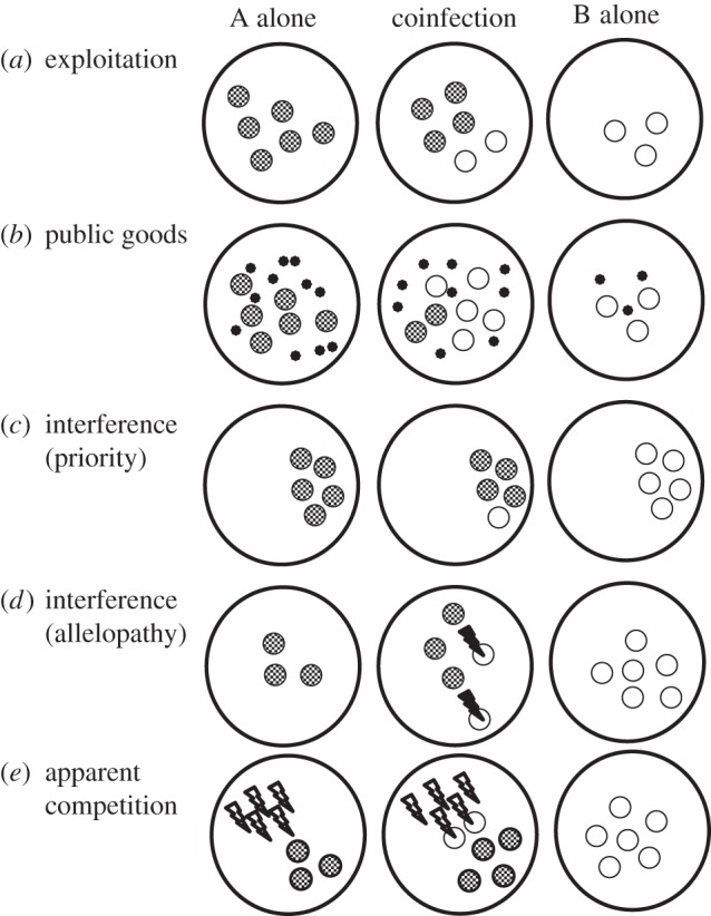 Figure 1.