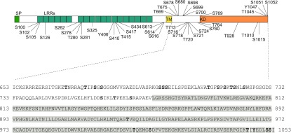 Figure 10.