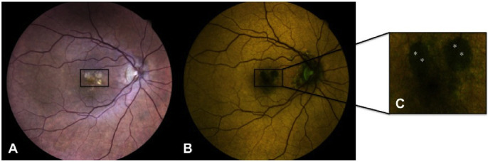 Figure 1.